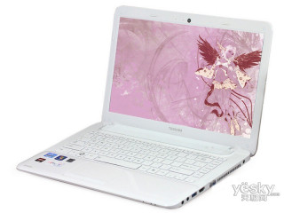 ֥ M800-T03W(ѩ)