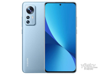 С12(8GB/256GB/ȫͨ/5G)
