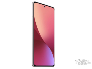 С12(8GB/256GB/ȫͨ/5G)