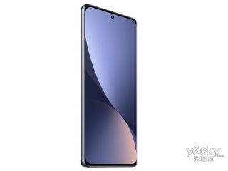 С12X(8GB/256GB/ȫͨ/5G)