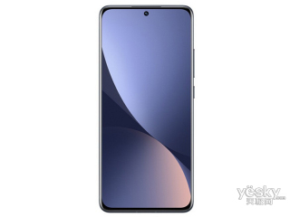 С12(8GB/256GB/ȫͨ/5G)