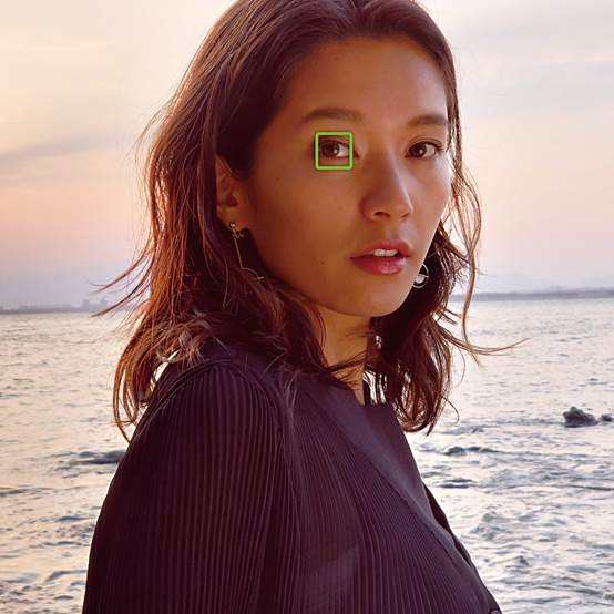 ../../发布会/新闻稿/Photo/最终版带水印/新建文件夹/xperia-1-eye-af.jpg