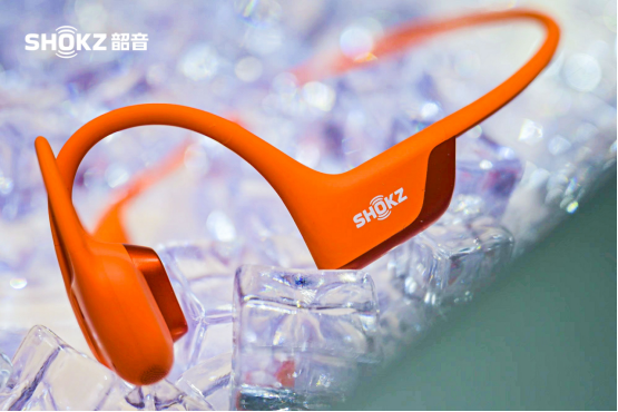 ֶShokz Lab˶ʵҵ½2024Ϻ岩
