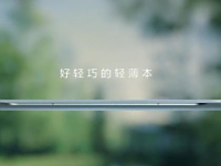 MateBook X