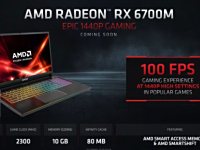 AMD RX 6700M