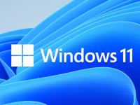 Windows 11