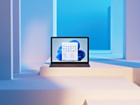 Windows 11