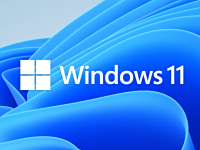Windows 11