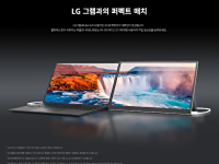 LG gram+view