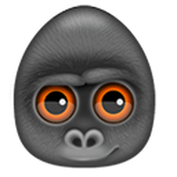 Debookee
