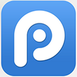 PP