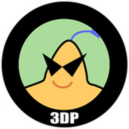 3DP Chip
