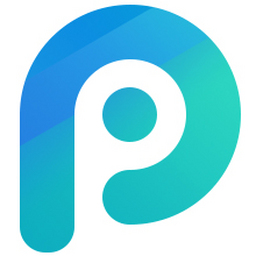 PP2025°
