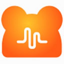 NN