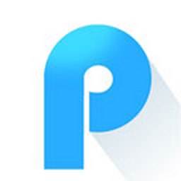 pdfתwordת