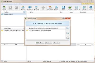 Disk Savvy Pro x32ε԰windowsͻ˽ͼ