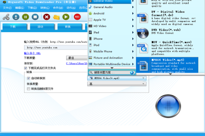 Bigasoft Video Downloader Proε԰windowsͻ˽ͼ