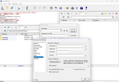 Core FTP LE°ε԰windowsͻ˽ͼ