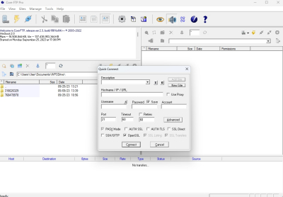 Core FTP Pro԰ε԰windowsͻ˽ͼ