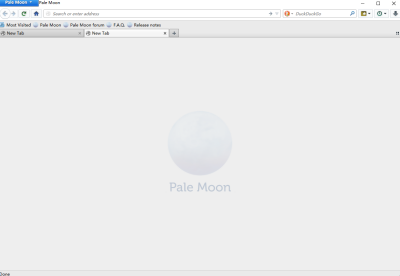 Pale Moonε԰windowsͻ˽ͼ
