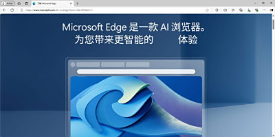 IE7 Internet Explorer°ε԰windowsͻ˽ͼ