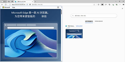 IE7 Internet Explorer°ε԰windowsͻ˽ͼ