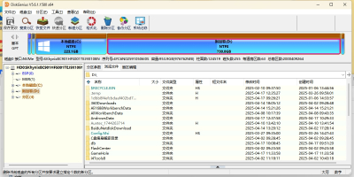 Diskgenius 64λε԰windowsͻ˽ͼ