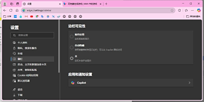 IE8 Internet Explorer°ε԰windowsͻ˽ͼ