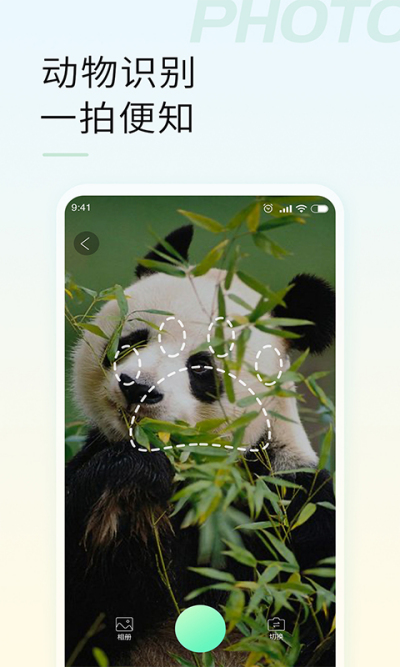 ʶ