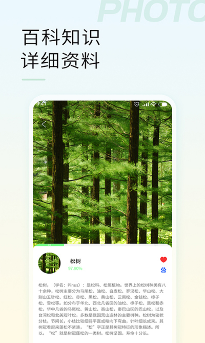 ʶ