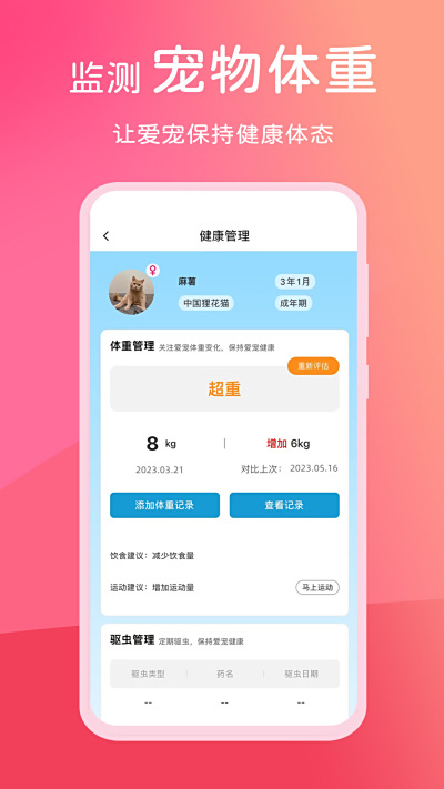 跹
