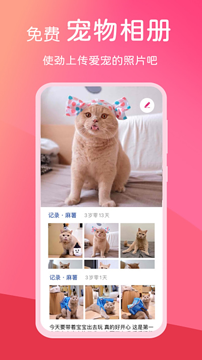 跹