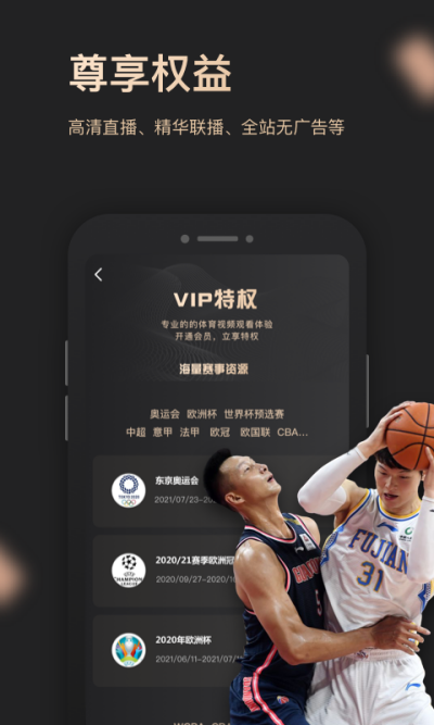 VIPε԰windowsͻ˽ͼ