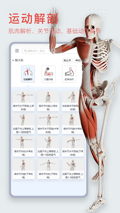 3Dbody