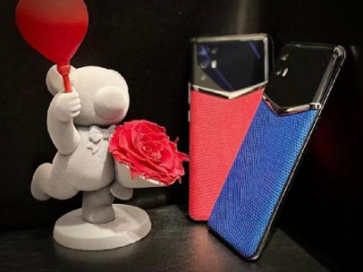 VERTUֱֻӪר/ͼֻר-VERTUֻ2022¿