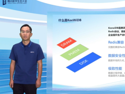 2022vӍȫ(sh)B(ti)NoSQL(sh)(j)쌣_F(xin)չʾ헼g