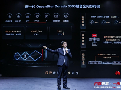 ΪһOceanStor Dorado 3000ںȫ