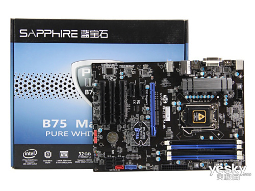 ʯPure White B75A-MA