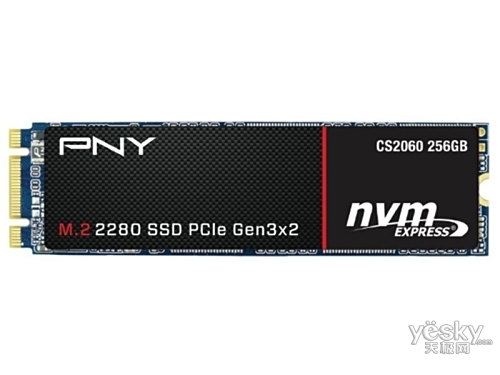 PNY CS2060 M.2 2280 PCIe NVMe Gen32 SSD(256GB)