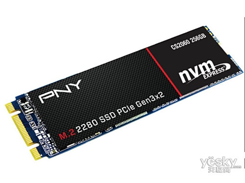 PNY CS2060 M.2 2280 PCIe NVMe Gen32 SSD(256GB)