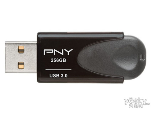 PNY Turbo Attache 4(256GB)