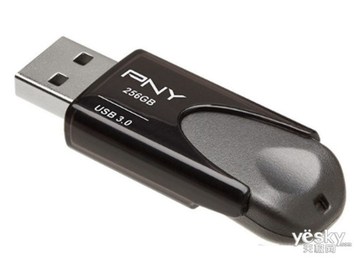 PNY Turbo Attache 4(256GB)