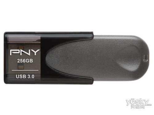 PNY Turbo Attache 4(256GB)