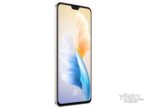 vivo S10(8GB/256GB/ȫͨ/5G)