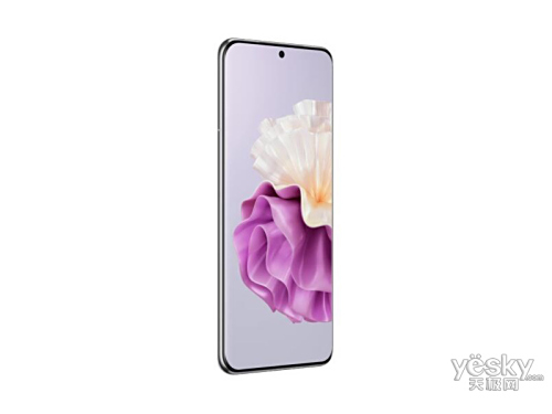 ΪP60 Pro(8G/256GB)