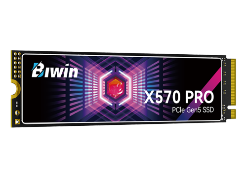 BIWIN άX570 PRO(2TB)