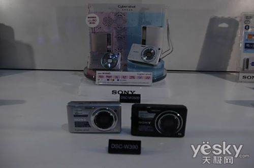 P&E2010ڶ¿Ƭ