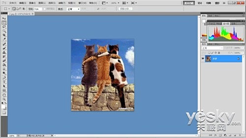 ҵר ʺʦʹõıʼǱ̵