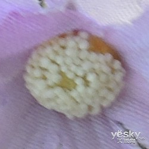 Ӱ ῵Ѽ콢P7700