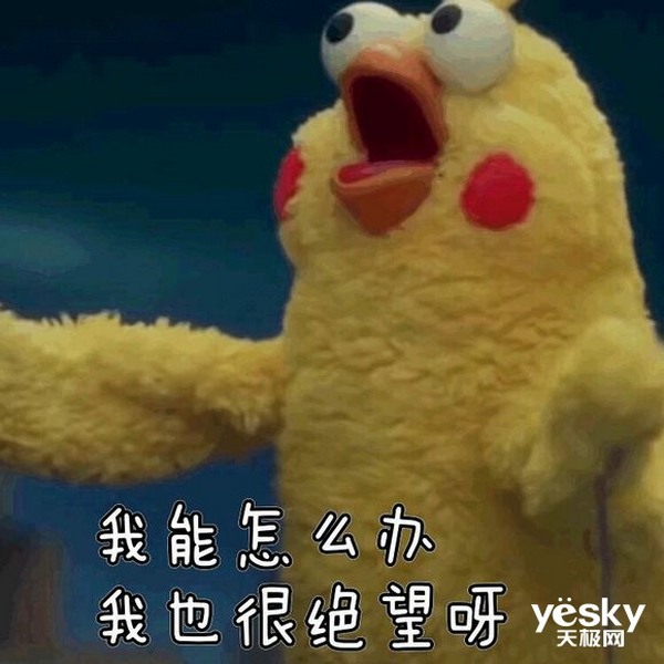 2019Ʒرϴһϴ   ϴ¾ʱ